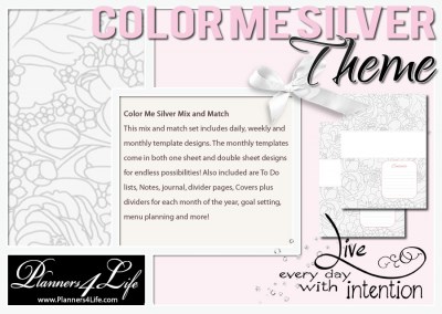 Theme_ColorMeSilver6