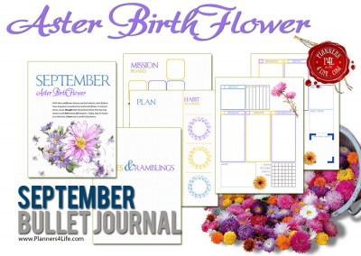 BulletJournal_SeptemberIs_AsterFlowerMonth