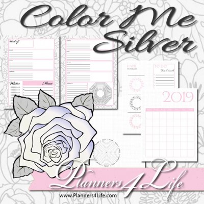 item-1_ColorMeSilver8